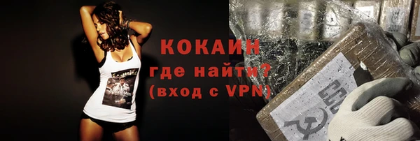 сатива Михайлов