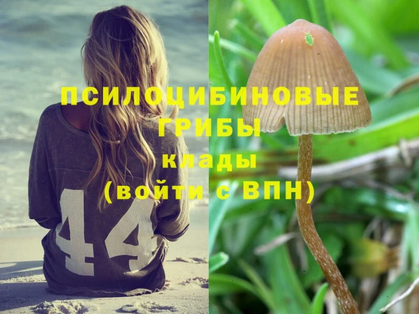 крисы Михайловск