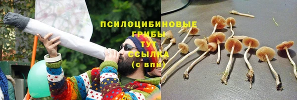 трава Михайловка